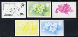 Antigua 1976 Bougainvillea 10c (with Imprint) Set Of 5 Imperf Progressive Colour Proofs - Autres & Non Classés