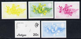 Antigua 1976 Flamboyant 20c (with Imprint) Set Of 5 Imperf Progressive Colour Proofs - Autres & Non Classés