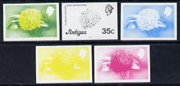 Antigua 1976 Flames Of The Wood 35c (with Imprint) Set Of 5 Imperf Progressive Colour Proofs - Autres & Non Classés