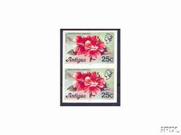 Antigua 1976 Hibiscus 25c (with Imprint) U/m Imperforate Pair (as SG 479B) - Other & Unclassified