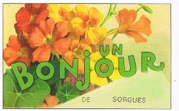 84 UN  BONJOUR  DE   SORGUES   CPM  TBE  VR 1063 - Sorgues