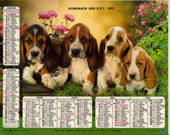 Calendrier Grand Format 1977 Almanach Des PTT Chien Chat Animaux - Grand Format : 1971-80