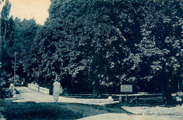 Génolhac * Le Colombier * Pont Passerelle - Autres & Non Classés