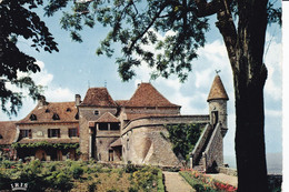 Lot2 Cp - LOUBRESAC - Vieux Manoir Gothique Dominant Les Vallées De La Bave Et De La Dordogne - Le Jardin - Autres & Non Classés