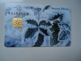 BELGIUM   USED CARDS  TREE PLANT - Autres & Non Classés