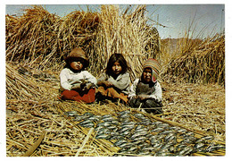 Ref 1486 - Postcard - Puno Lago Titicaca Peru - Children On Floating Islands Drying Fish - Amérique