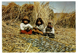 Ref 1486 - Postcard - Puno Lago Titicaca Peru - Children On Floating Islands Drying Fish - América