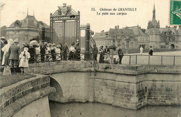 Chantilly * Château * Le Pain Aux Carpes - Chantilly