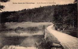 42  NOTRE DAME DE L'HERMITAGE - Sur La Chaussée Du Grand-Etang - Noiretable