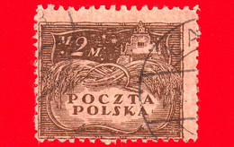 POLONIA - Usato - 1919 - Agricoltura - Raccolta Del Grano A Kazimierz Dolny - 2 M - Oblitérés