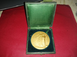 MEDAILLE BRONZE ARGENTE SOUS SECRETAIRE D'ETAT DE L'EDU. PHYSIQUE OFFERT PAR LE MINISTRE H.DEMEY 50mm 64.5gr Voir Photos - Firma's