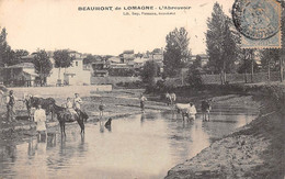 Beaumont En Lomagne       82       L'Abreuvoir            ( Voir Scan) - Beaumont De Lomagne