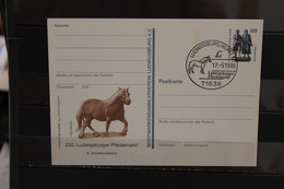 Deutschland 1998, Ganzsache: 230. Ludwigsburger Pferdemarkt; Wertstempel 100 Pf. Sehenswürdigkeiten - Postales Privados - Usados