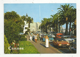 Cp,  Automobiles , 06,CANNES , La CROISETTE , Voyagée 1978 - Voitures De Tourisme