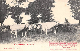 Divers        28        La Beauce: Les Bœufs . Moissonneuse-lieuse     Poème De Victor Nadal           ( Voir Scan) - Sonstige & Ohne Zuordnung