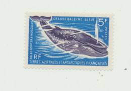N°22 NEUF XX - Unused Stamps