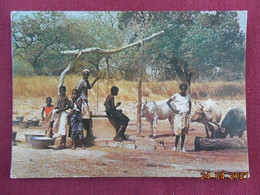 CPM GF - The Gambia - At Village Well - Gambia