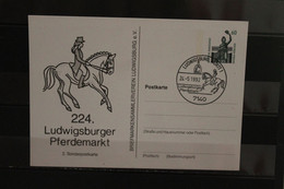 Deutschland 1992, Ganzsache:  224. Ludwigsburger Pferdemarkt; Wertstempel 60 Pf. Sehenswürdigkeiten - Cartes Postales Privées - Oblitérées