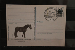 Deutschland 1999, Ganzsache:  231. Ludwigsburger Pferdemarkt; Wertstempel 100 Pf. Sehenswürdigkeiten - Private Postcards - Used