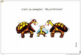TORTUES  -  Illustration  Denis Grass  Pour  Félicitations -  Garçon  - Carte Double - Turtles