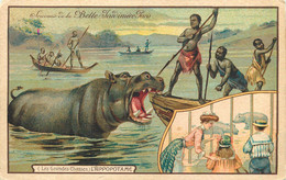 HIPPOPOTAMES - LA CHASSE à L' HIPPOPOTAME - CPA édition PUB; LA BELLE JARDINIERE PARIS  - TRES BON ETAT - Hippopotamuses