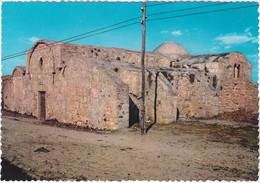 THARROS - ORISTANO - S. GIOVANNI DI SINIS -7240- - Oristano