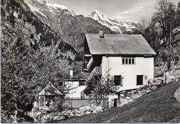 Valsesia - Curgo Di Mollia - Casa Alpina Don Pollo - Fg Vg - Vercelli