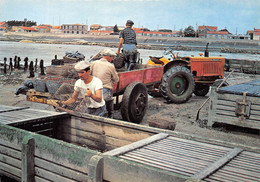 17-CHATELAILLON-PLAGE- LE TRIAGE DES MOULES - Châtelaillon-Plage