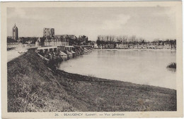 Delcampe - 45   Beaugency  - Vue Generale - Beaugency