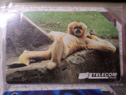 TELECARTE ITALIE ANIMAUX, SINGE, SCIMMIA , USAGEE, PHONECARD - Autres & Non Classés