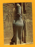 Edfou  Statue Du Diue Horus      Edt Kruger - Edfu