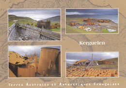 TERRES AUSTRALES ET ANTARCTIQUES FRANCAISES - Kerguelen - TAAF : Territorios Australes Franceses