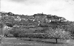 Fayence         83         Vue Générale  Année  1957.      ( Voir Scan) - Fayence