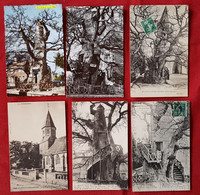 10 Cartes  -   Allouville-Bellefosse   - Seine Maritime -( 76) Arbres  ,  Arbre - Allouville-Bellefosse