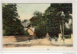 ELM GROVE, Southsea - Previous 1897, Canceled In Portsmouth, 1905 - Portsmouth