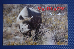 Namibia - Rhino - QSL - Rhinocéros