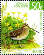 Iceland 2011 MiNr. 1326 Island Birds The Common Snipe 1v MNH** 1,20 € - Ungebraucht