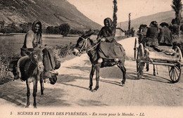 Scènes Et Types Des Pyrénées - En Route Pour Le Marché (sur Des Baudets) - Carte LL N° 5 Non Circulée - Midi-Pyrénées