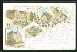 Lithographie Gandersheim, Hotel Zum Römischen Kaiser, Progymnasium, Post Mit Pferdekutsche - Bad Gandersheim