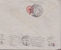 1948. ISLAND. . Air Mail. 3 Ex 30 Aur Pair On Cover From REYKJAVIK 20 X 1948 To Portu... (Michel 242) - JF419126 - Briefe U. Dokumente