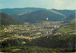 ROTHAU - LA CLAQUETTE - Vue Générale - Rothau