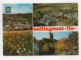 - CPM SAILLAGOUSE (66) - Multivues 1987 - Editions DINO 2225 - - Autres & Non Classés