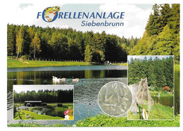9651  SIEBENBRUNN / VOGTLAND  -  FORELLENANLAGE - Klingenthal