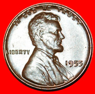 • WHEAT PENNY (1909-1958): USA ★ 1 CENT 1955! LINCOLN (1809-1865) NOT DOUBLE DATE! LOW START★ NO RESERVE! - 1909-1958: Lincoln, Wheat Ears Reverse