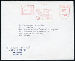 NIEDERLANDE 1954 (3.6.) AFS: AMSTERDAM/1230/KONINKLIJK/INSTITUUT/VOOR DE/TROPEN (Palmen, Indones. Haus) Dienst-Bf.: KONI - Ziekte