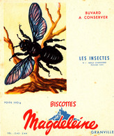 BU 2260 /   BUVARD-   BISCOTTES  MAGDELEINE   LES INSECTES N° 1 ABEILLE CHARPENTIERE     (16,00 Cm X 14,00 Cm ) - Biscottes