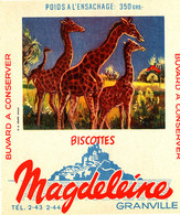 BU 2273 /   BUVARD-   BISCOTTES  MAGDELEINE    N° 20 GIRAFES   (14,00 Cm X 16,00 Cm ) - Biscottes