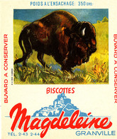 BU 2275 /   BUVARD-   BISCOTTES  MAGDELEINE    N° 10 BISON D'AMERIQUE  (14,00 Cm X 16,00 Cm ) - Biscottes