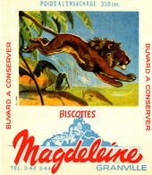 BU 2277 /   BUVARD-   BISCOTTES  MAGDELEINE    N° 7 LION   (14,00 Cm X 16,00 Cm ) - Biscottes