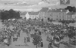 56-VANNES- LE CHAMP DE FOIRE - Vannes